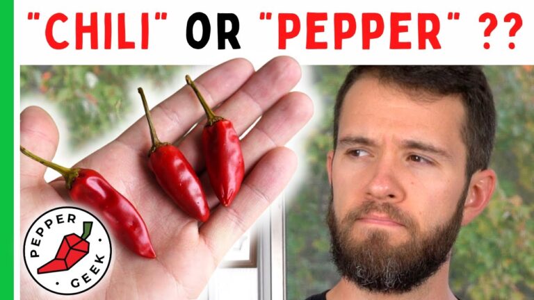 Chiles vs Peppers: Unraveling the Spicy Conundrum