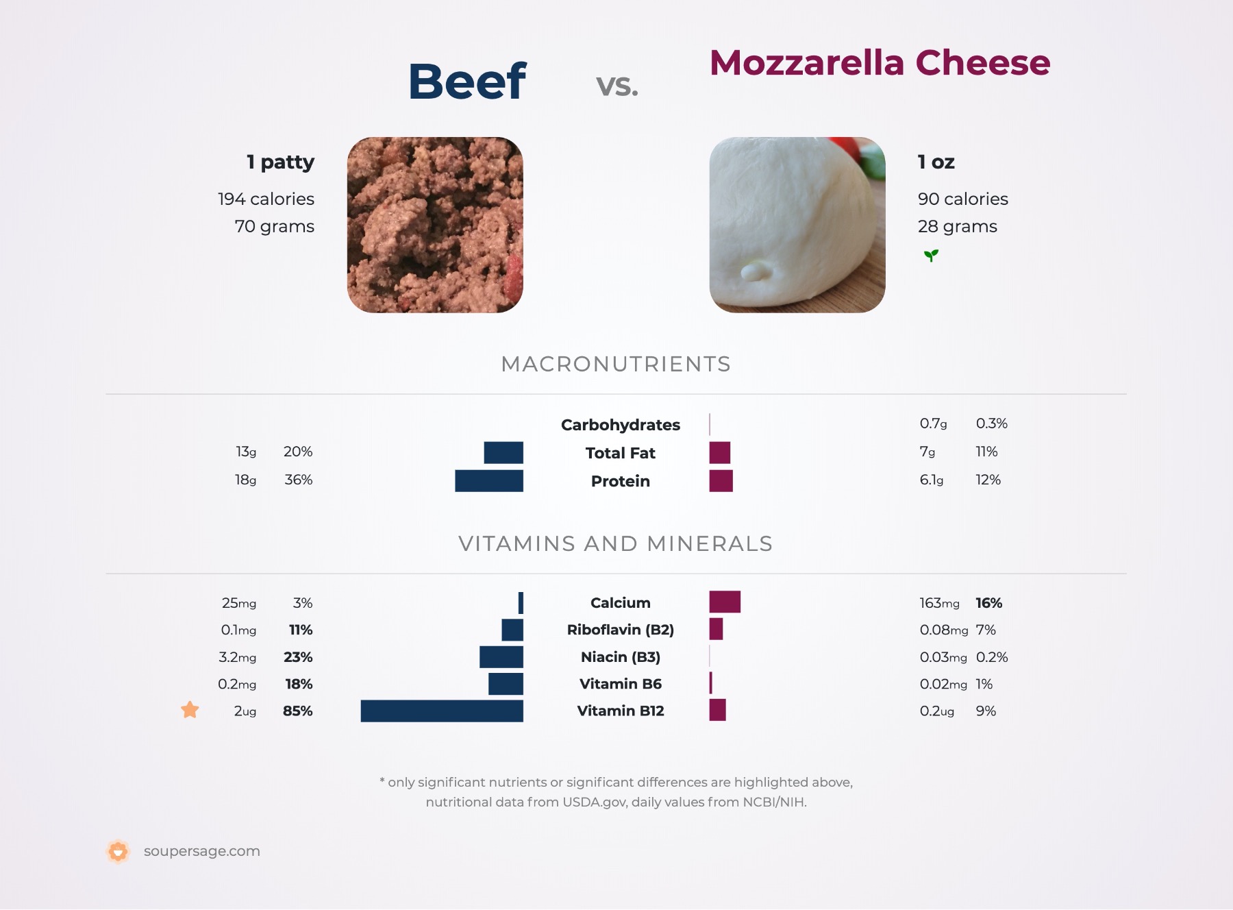 Mozzarella vs Provolone: Cheese Connoisseur's Dilemma