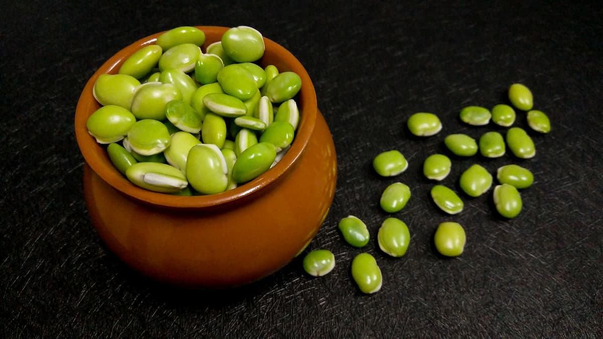 Lima Beans vs Fava Beans: Nutritional Comparison