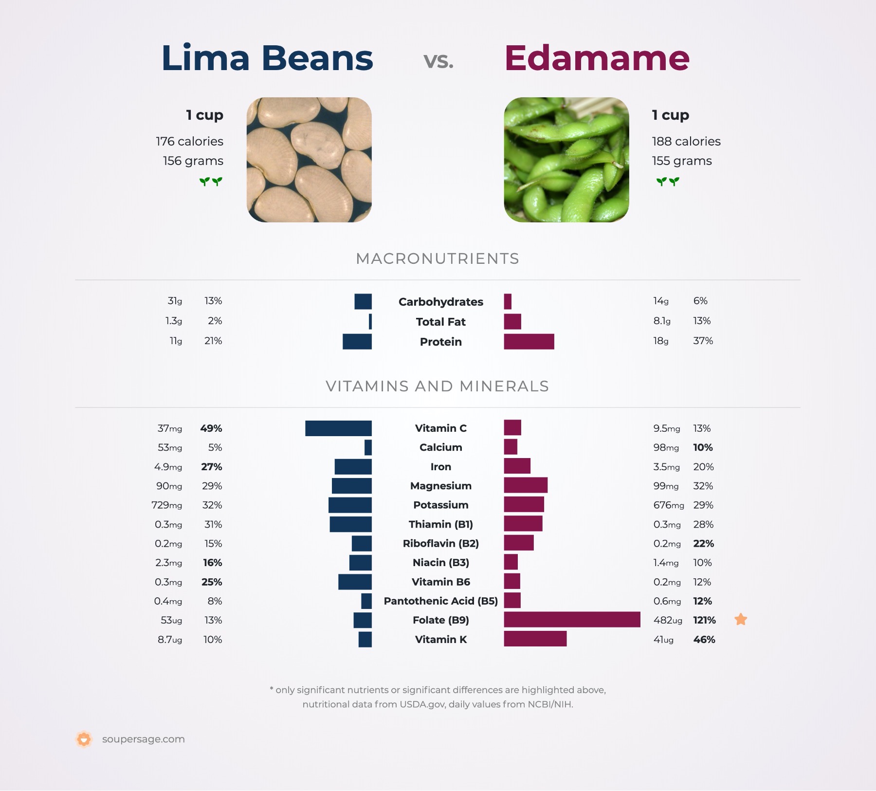 Lima Beans vs Fava Beans: Nutritional Comparison