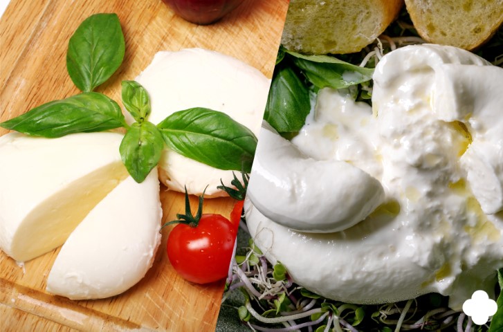 Burrata Cheese vs Mozzarella: Cheese Lover's Dilemma